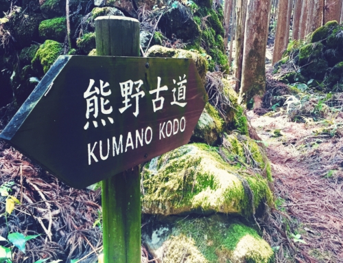 A Practical Guide to Hiking the Kumano Kodo for the Independent Traveller