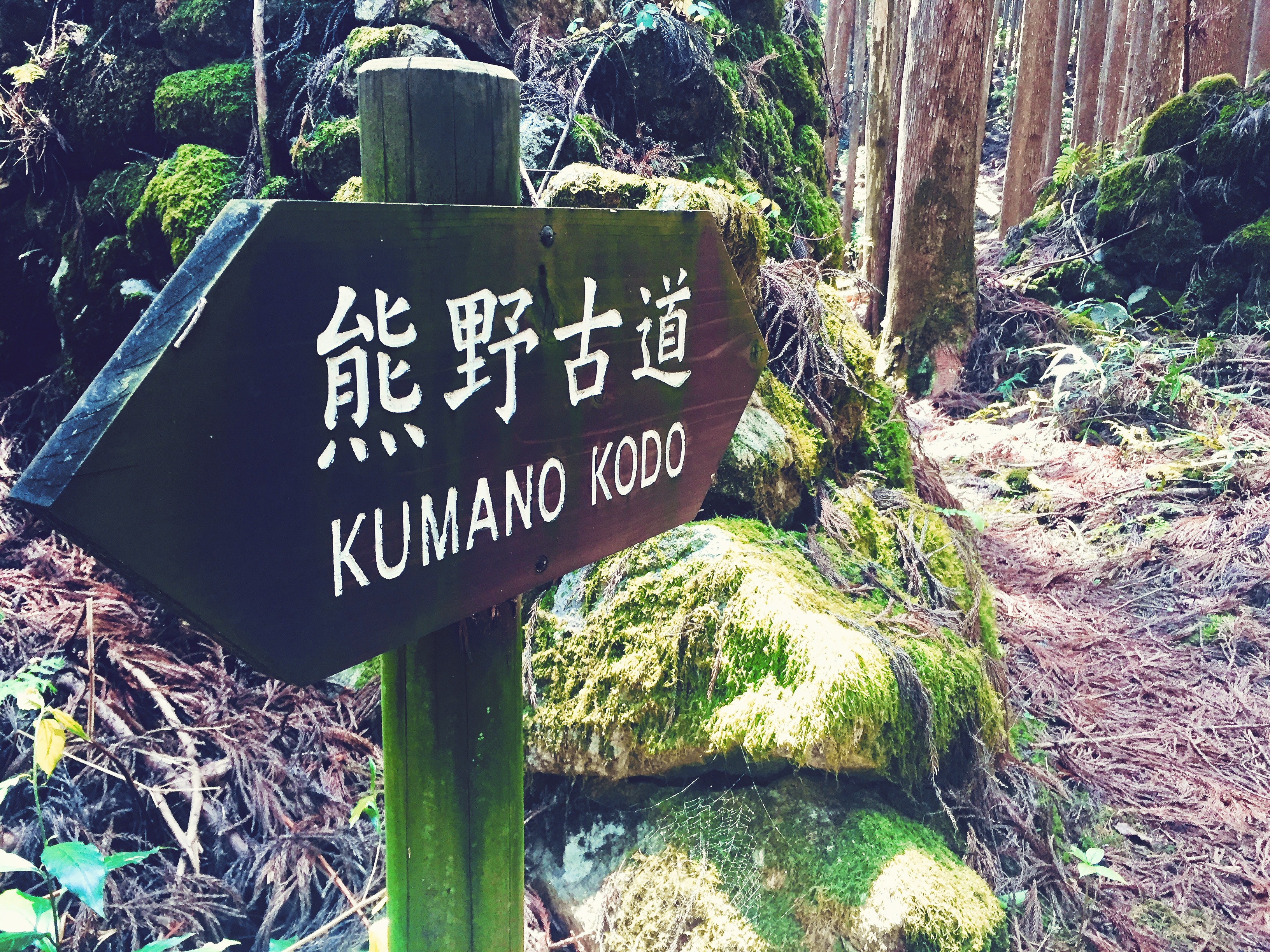 Kumano Kodo Hiking